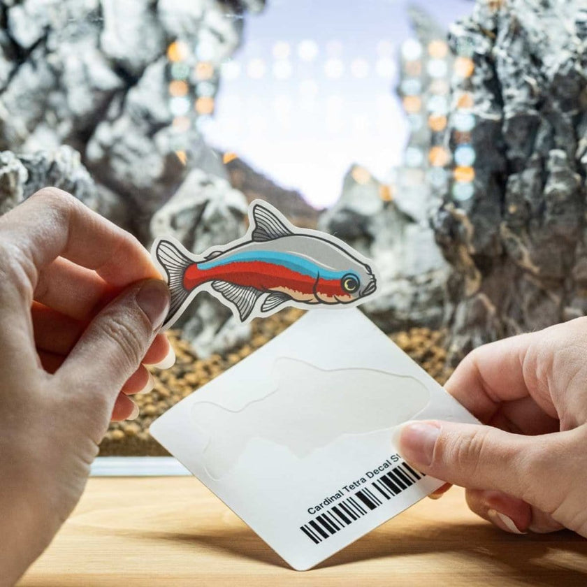 cardinal-tetra-decal-sticker-5868049