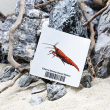 Load image into Gallery viewer, Aquarium Co-Op Merchandise Cherry Shrimp Decal Sticker
