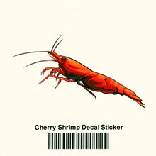 Load image into Gallery viewer, Aquarium Co-Op Merchandise Cherry Shrimp Decal Sticker
