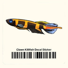 Load image into Gallery viewer, Clown Killifish Decal Sticker - Aquarium Co - Op
