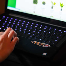 Load image into Gallery viewer, Clown Killifish Decal Sticker - Aquarium Co - Op
