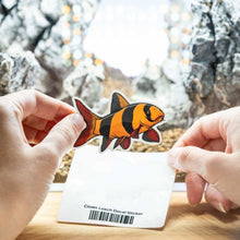 Load image into Gallery viewer, Clown Loach Decal Sticker - Aquarium Co - Op
