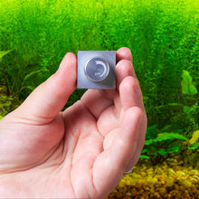 Load image into Gallery viewer, CO2 Regulator Expansion Manifold - Aquarium Co - Op
