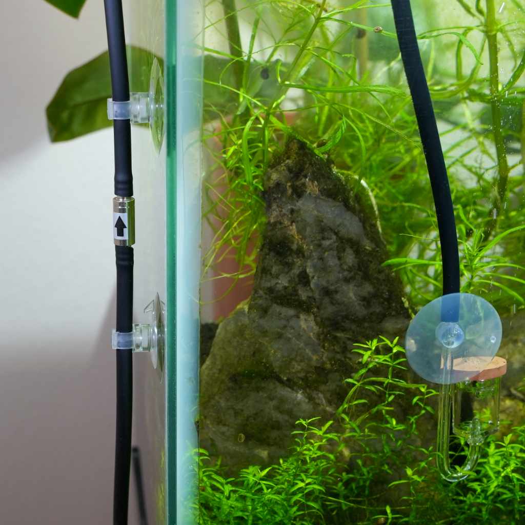CO2 Stainless Steel Check Valve - Aquarium Co - Op