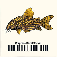 Load image into Gallery viewer, Corydoras Decal Sticker - Aquarium Co - Op
