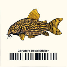 Load image into Gallery viewer, Aquarium Co-Op Merchandise Corydoras Decal Sticker

