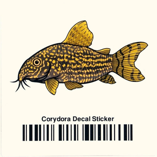 Aquarium Co-Op Merchandise Corydoras Decal Sticker