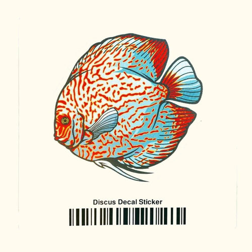 Aquarium Co-Op Merchandise Discus Decal Sticker