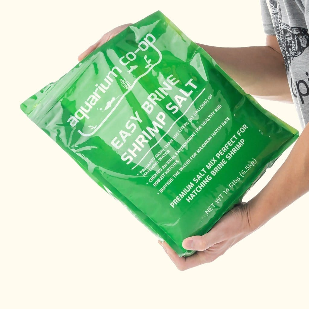 easy-brine-shrimp-salt-1500405