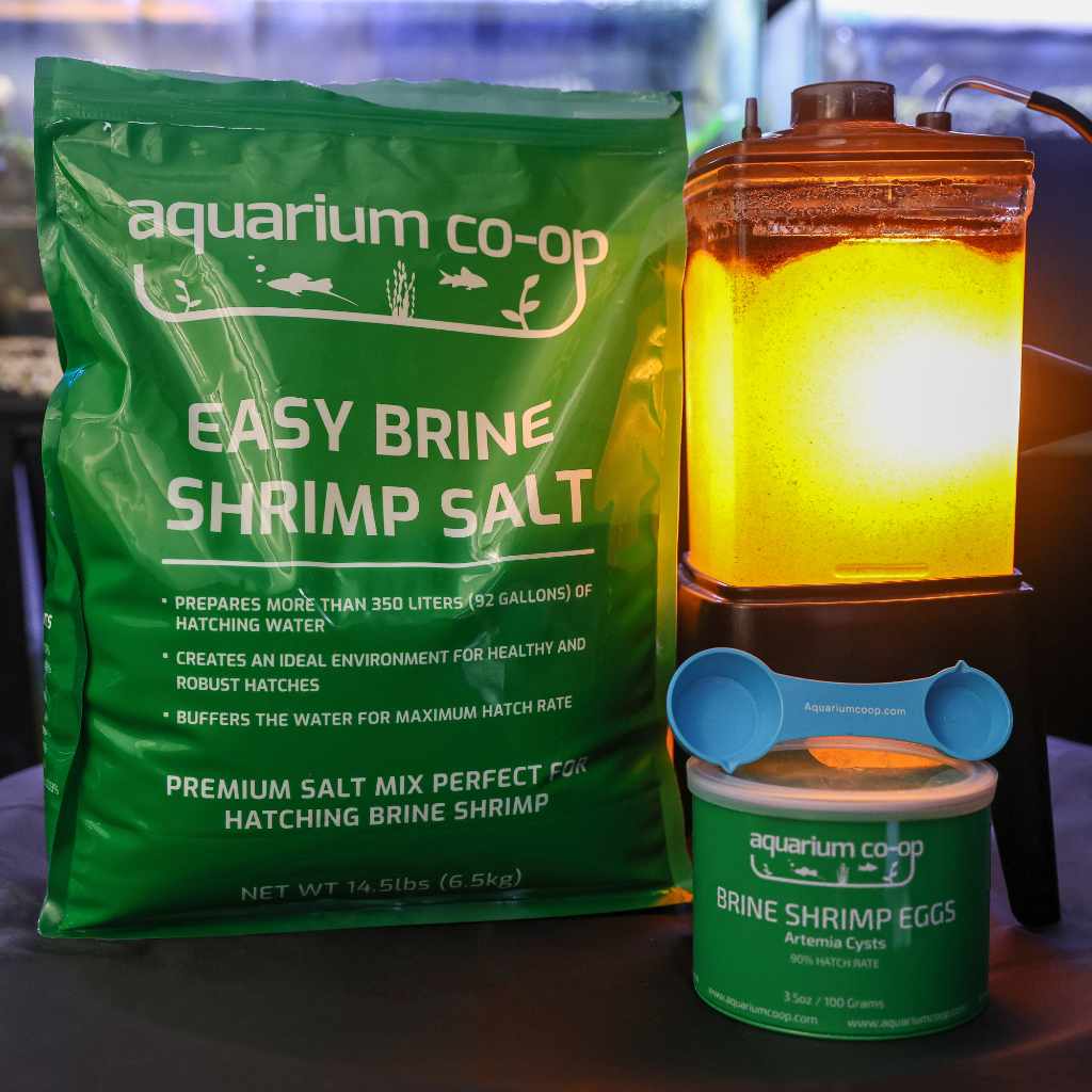 Aquarium Co-op Easy Brine Shrimp Salt | Marine Salt for Hatching BBS