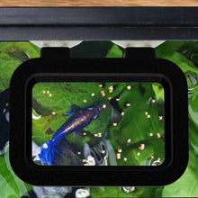 Load image into Gallery viewer, Easy Feeding Basket - Aquarium Co - Op
