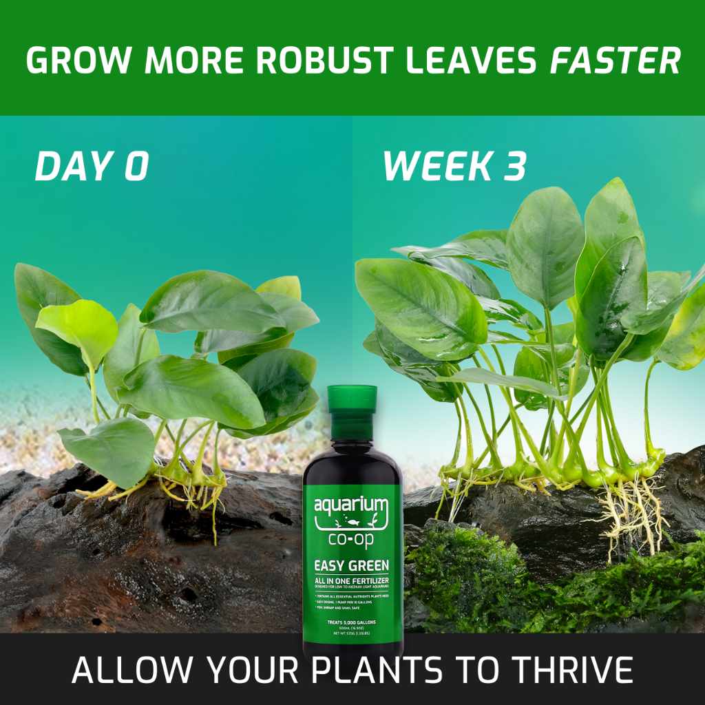 Easy Green All-in-One Fertilizer | Aquarium Plant Fertilizer – Aquarium  Co-Op, image size:1024x1024