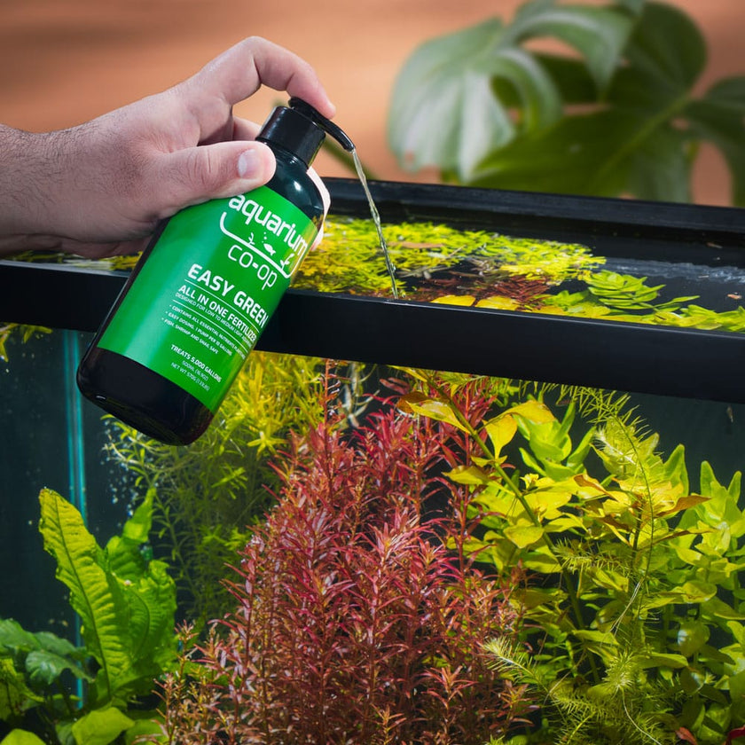 aquarium co op plant fertilizer Easy Green/Easy Iron/Easy Potassium 500ml Pump Top