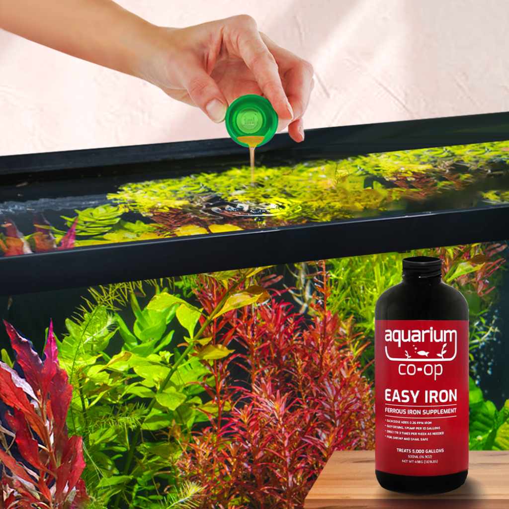 Aquarium Co-Op Easy Iron Aquarium Co-Op Easy Iron