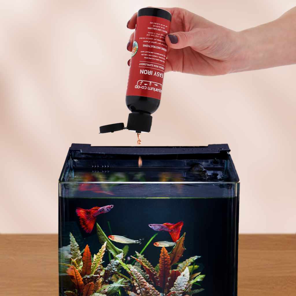 Aquarium Co-Op Easy Iron