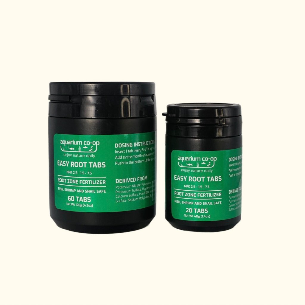 easy-root-tabs-1691698