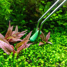 Load image into Gallery viewer, Aquarium Co-Op Plant Supplies Easy Root Tabs
