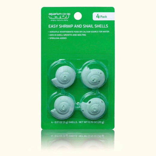 easy-shrimp-and-snail-shells-1968045