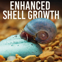 Load image into Gallery viewer, Easy Shrimp and Snail Shells - Aquarium Co - Op
