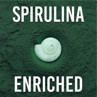 Easy Shrimp and Snail Shells - Aquarium Co - Op