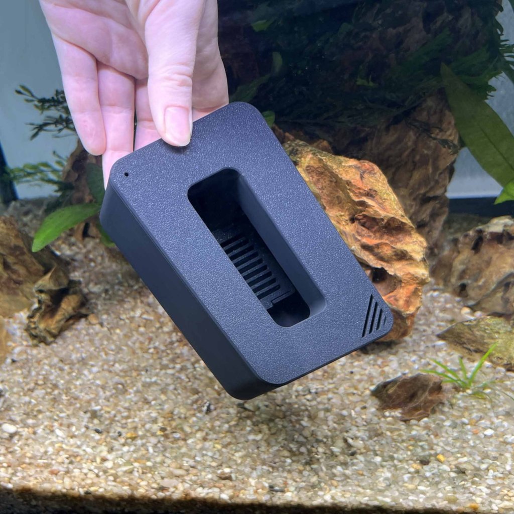 easy-snail-collector-6311523