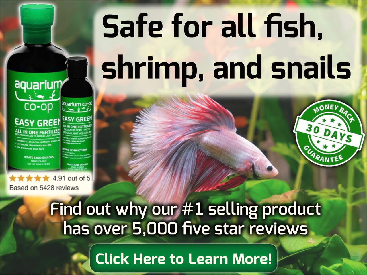 fish aquarium accessories online shopping Decorations Set, Tank Decor with Artificial Plants and Resin Ornaments, Betta Fish Tank for Small Tanks, Soft Safe Plastic Plants with Hideout Cave Dcor(Ornaments set #2) and does not require special maintenance. Fish Supplies Best Online Freshwater