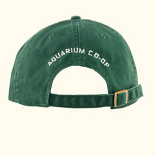 Load image into Gallery viewer, Enjoy Nature Daily Adjustable Hat - Aquarium Co - Op

