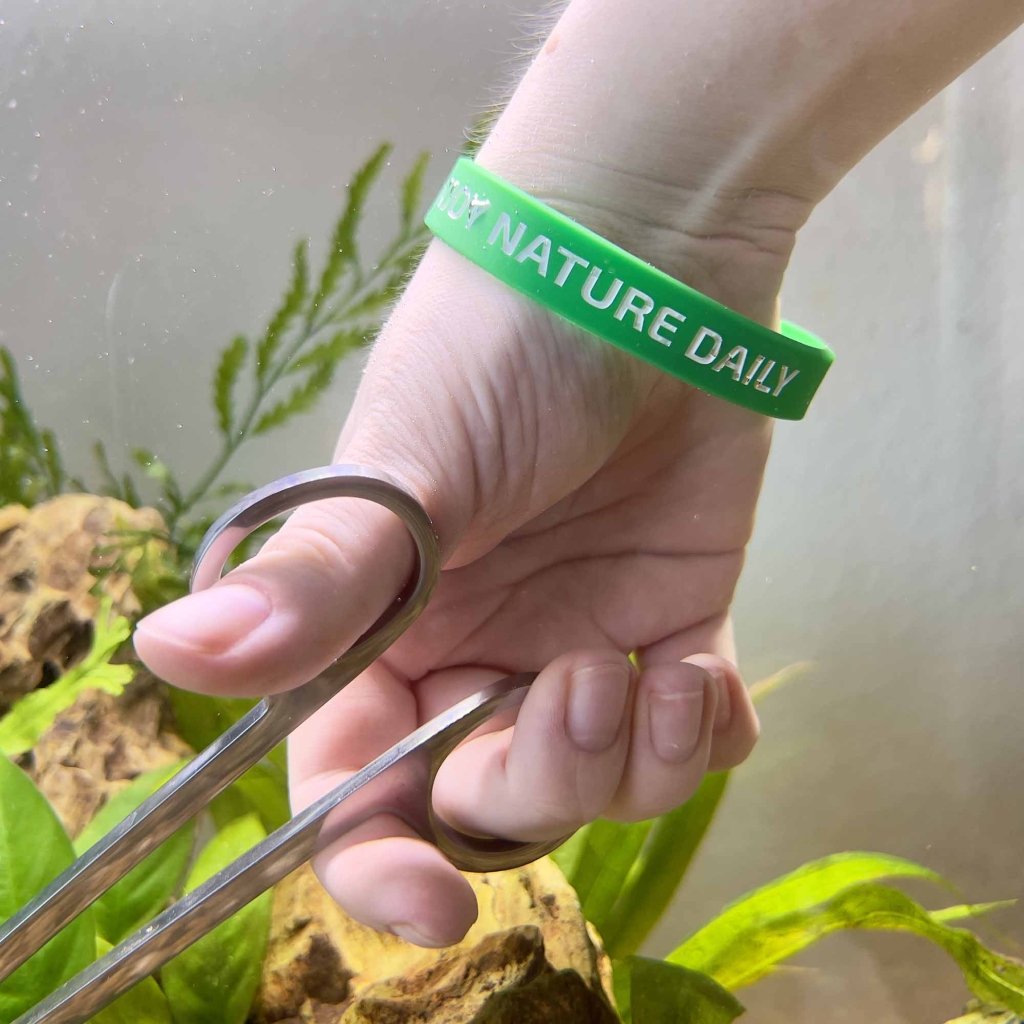 Enjoy Nature Daily Silicone Bracelet - Aquarium Co-Op