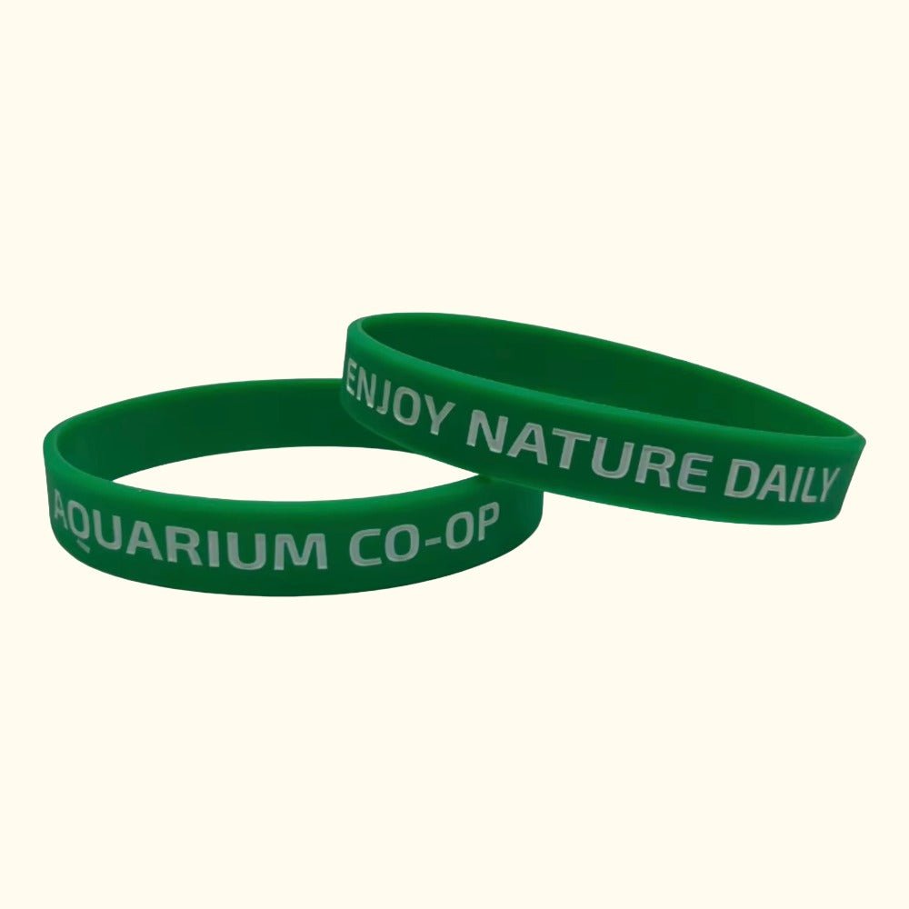 Enjoy Nature Daily Silicone Bracelet - Aquarium Co-Op