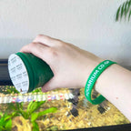 Enjoy Nature Daily Silicone Bracelet - Aquarium Co-Op