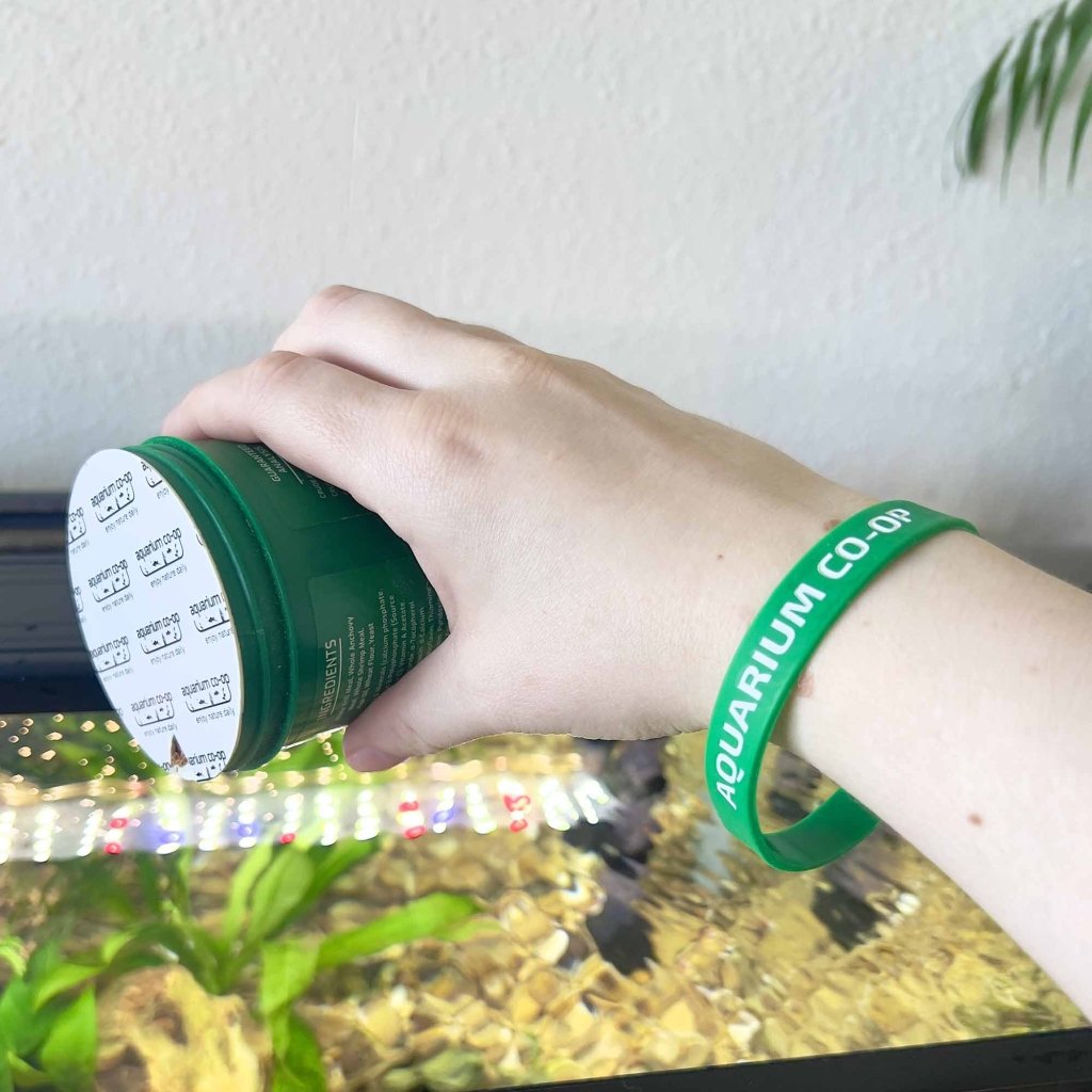 Enjoy Nature Daily Silicone Bracelet - Aquarium Co-Op