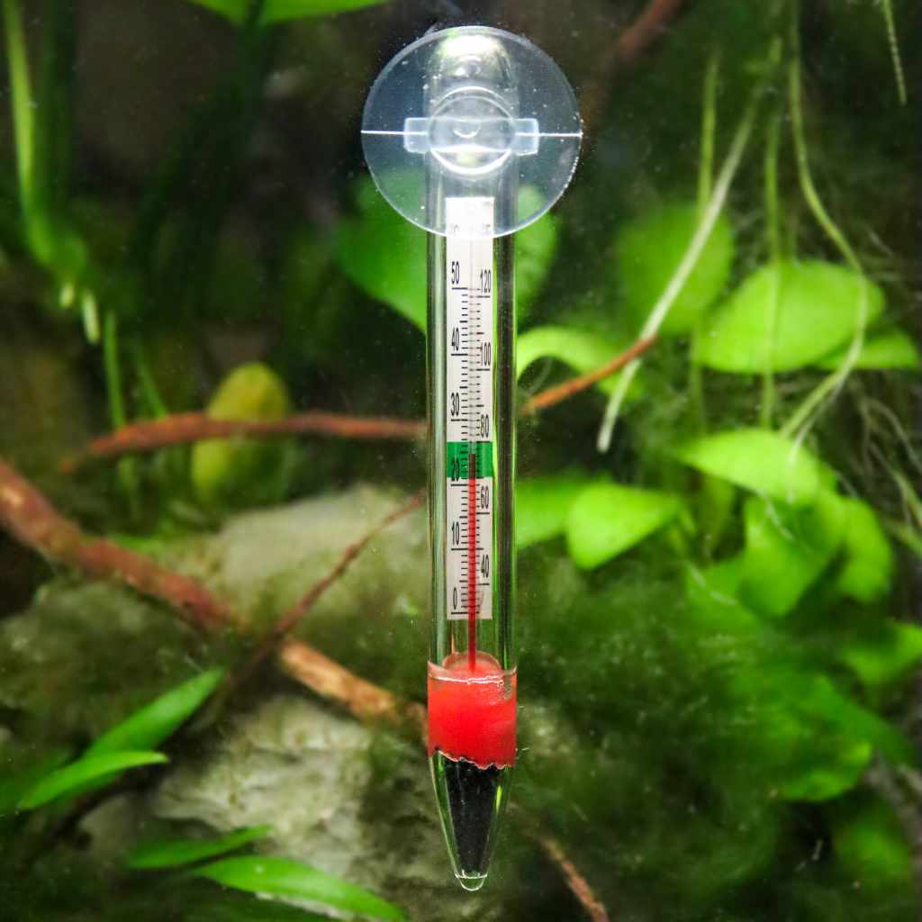 Aquarium Thermometer Temperature In Tropical Fish Aquarium Stock