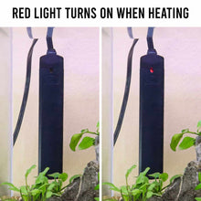 Load image into Gallery viewer, Fluval Nano Aquarium Heater, 25 Watts - Aquarium Co - Op
