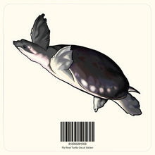 Load image into Gallery viewer, Aquarium Co-Op Merchandise Fly River Turtle Decal Sticker
