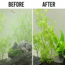 Load image into Gallery viewer, Fritz Crystal Clear 16oz - Aquarium Co - Op
