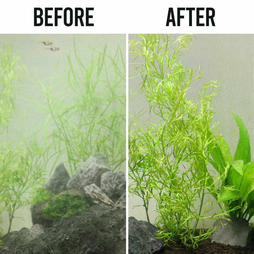 fritz-crystal-clear-16oz-1825248