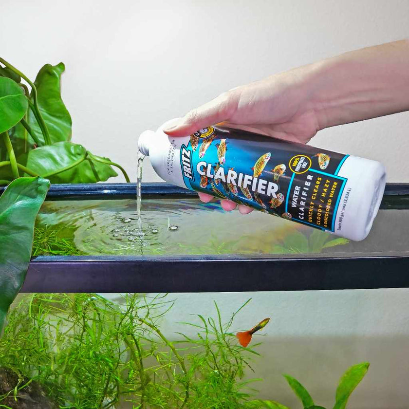 fritz-crystal-clear-16oz-4143058