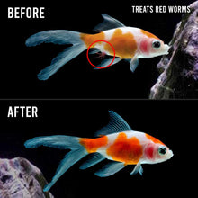 Load image into Gallery viewer, Fritz Expel - P - Aquarium Co - Op
