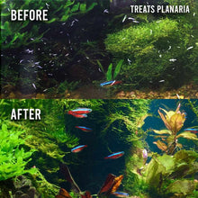 Load image into Gallery viewer, Fritz Expel - P - Aquarium Co - Op
