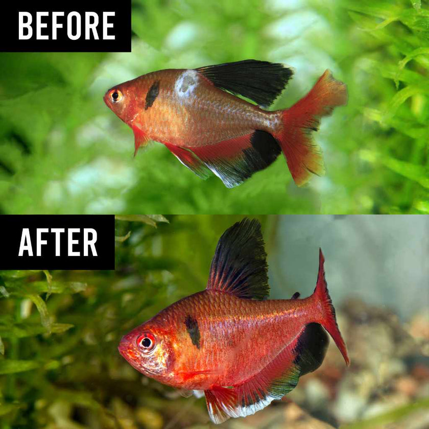 fritz-freshwater-salt-1lb-6511160