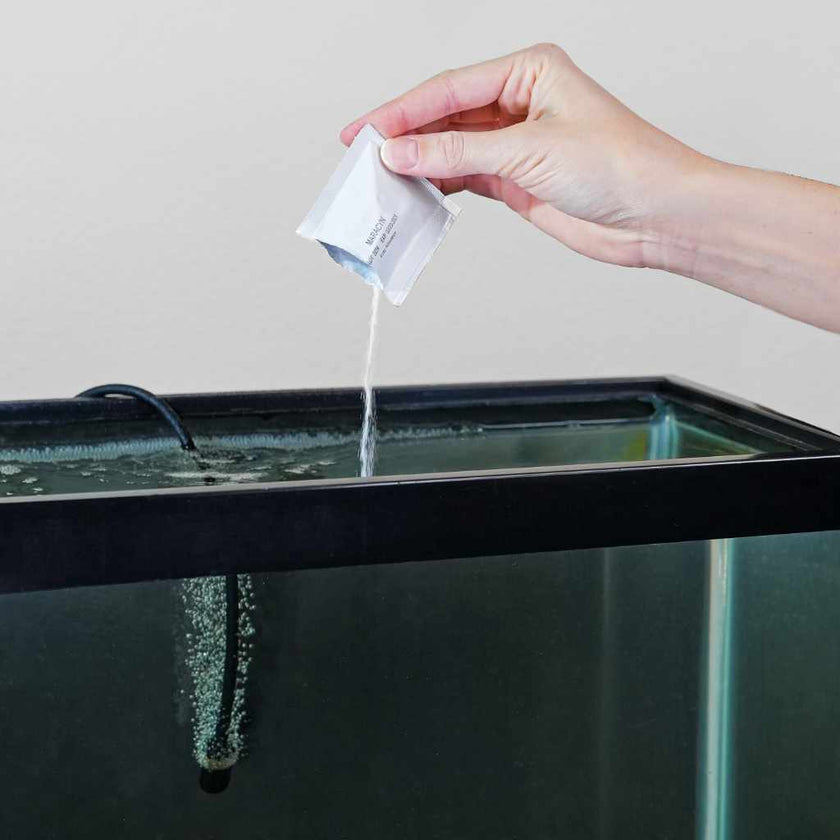 fritz-maracyn-6198055