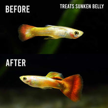 Load image into Gallery viewer, Fritz ParaCleanse - Aquarium Co - Op
