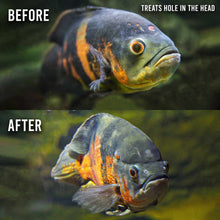 Load image into Gallery viewer, Fritz ParaCleanse - Aquarium Co - Op
