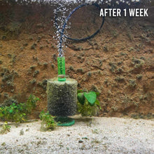 Load image into Gallery viewer, Fritz Slime Out - Aquarium Co - Op
