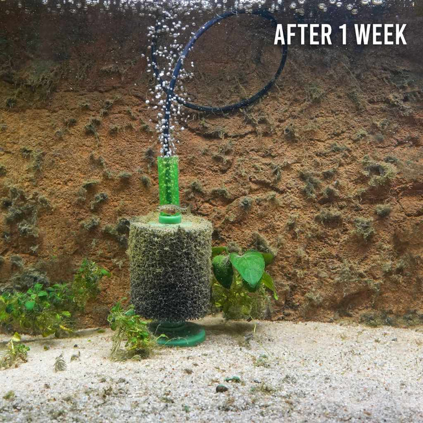 fritz-slime-out-6851742