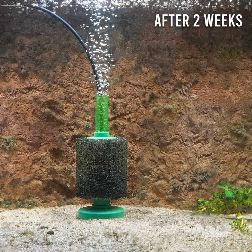 fritz-slime-out-8292275