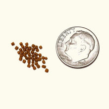 Load image into Gallery viewer, Rainier Fish Food Hikari Betta Bio Gold Pellet
