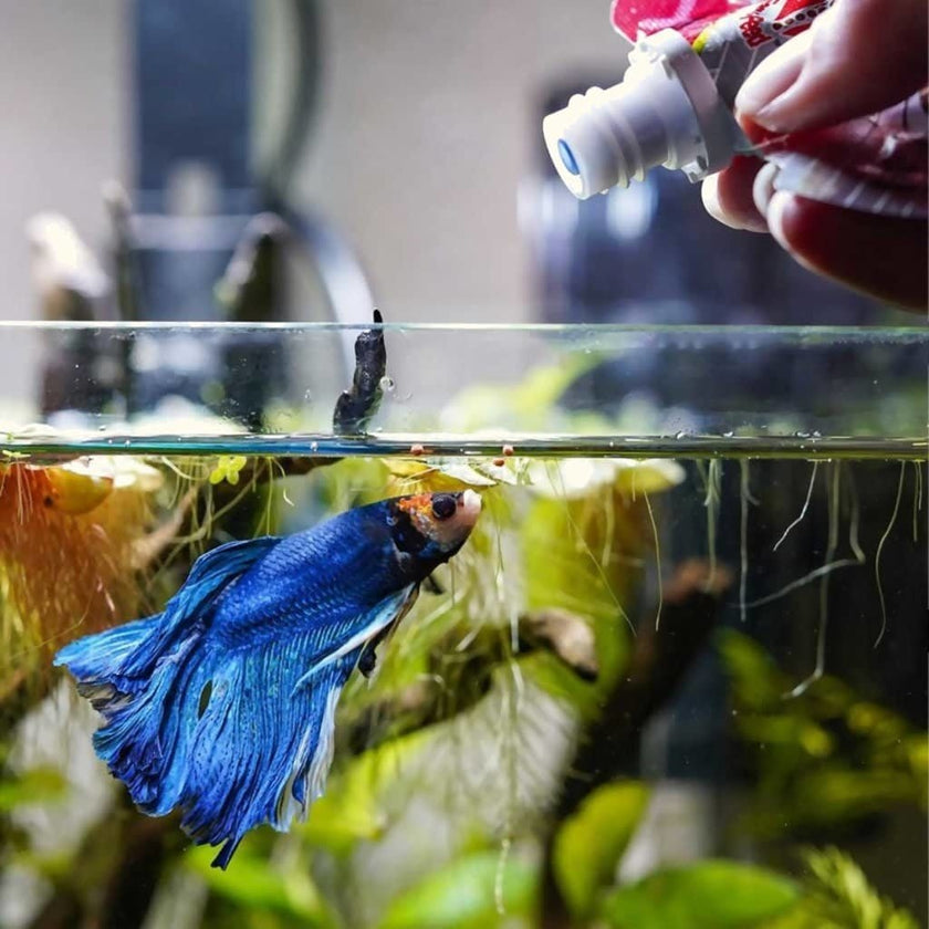 hikari-betta-bio-gold-pellet-4104866