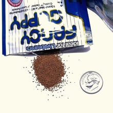 Load image into Gallery viewer, Hikari Fancy Guppy - Aquarium Co - Op
