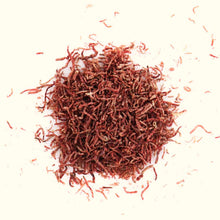 Load image into Gallery viewer, Hikari Fish Food Hikari Freeze Dried Bloodworms
